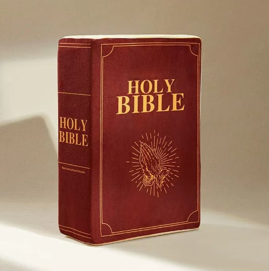 📖 Bible Pillow – Inspired by 1 Corinthians 13 Custom Moments™